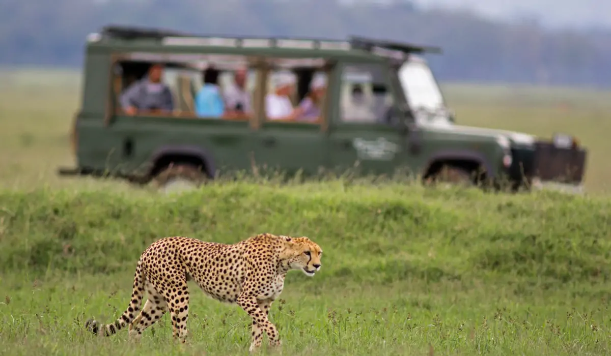 Top 10 Unforgettable Experiences in Kenya: From Wild Encounters to Cultural Gems