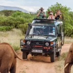 The Best Time to Embark on Your Kenyan Safari Adventure