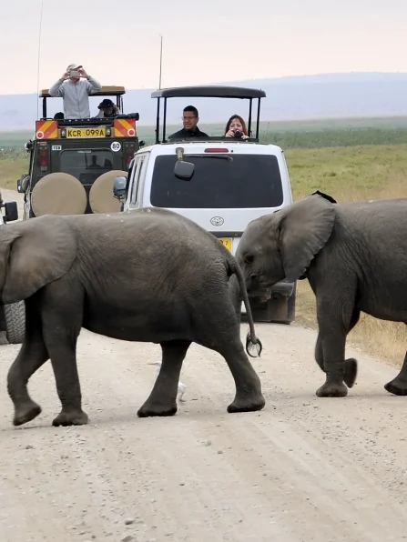 Activities-to-do-in-Amboseli-National-Park