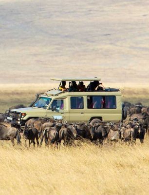 Serengeti-National-Park-2